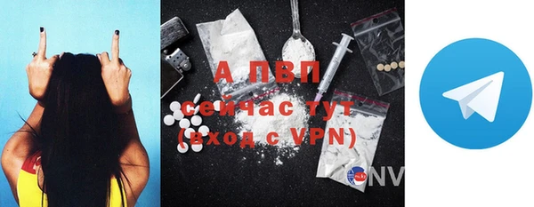 PSILOCYBIN Новокубанск