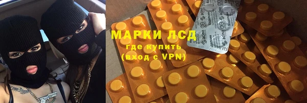 PSILOCYBIN Новокубанск