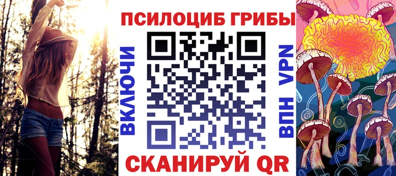 KRAKEN как войти Чишмы Псилоцибиновые грибы мицелий